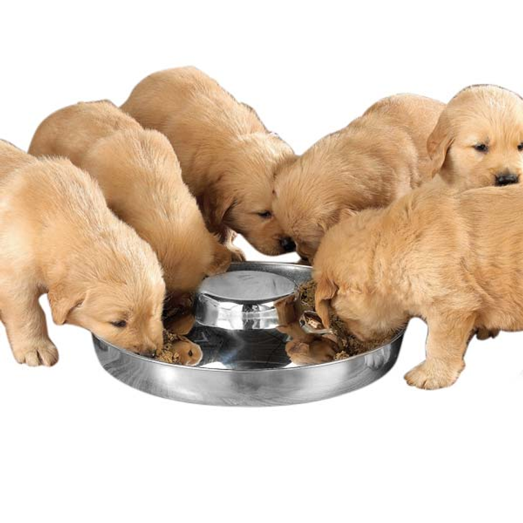 Pet Edge PS Puppy Dish 14.5In 14.5in