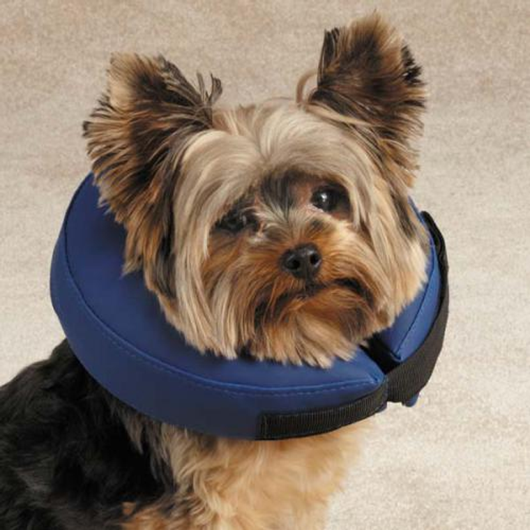 Pet Edge Total Pet Health Inflatable Collar XL Blue