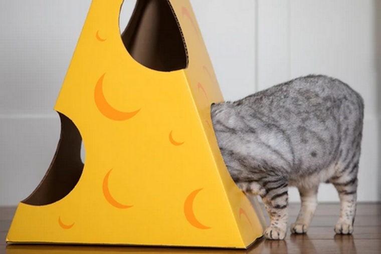 Cat in the Box, LLC Monster Cheese Wedge Cardboard Cat House