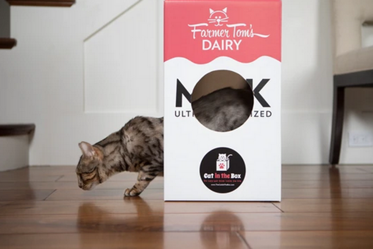Cat in the Box, LLC Mega Milk Carton Cardboard Cat House
