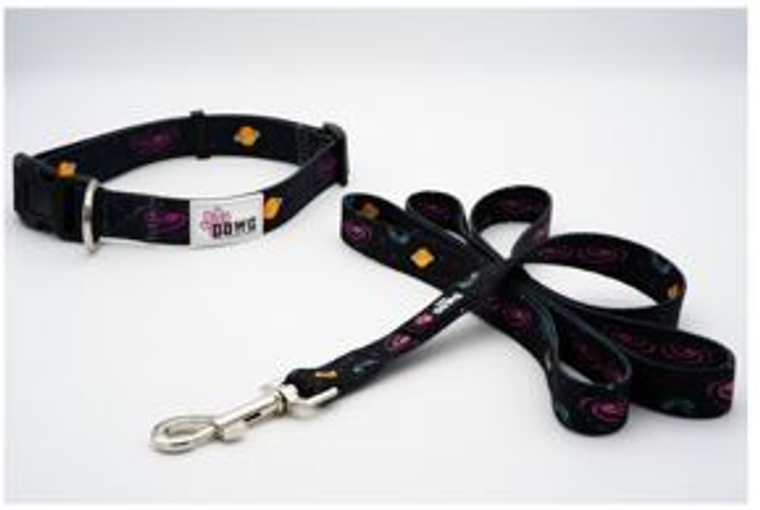 The Dowg Brand The Dowg Dog Collar & Leash Set Small/Medium Canine and Cosmos