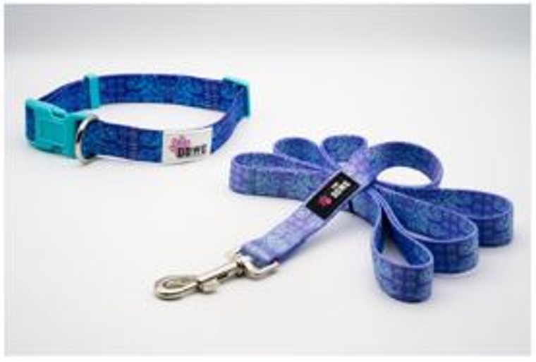 The Dowg Brand Dog Collar And Leash Set Small/Medium Paws and Petals