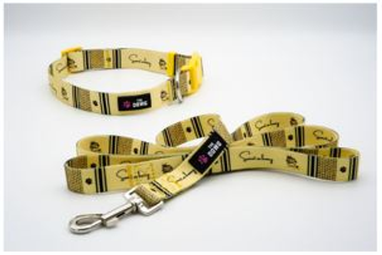 The Dowg Brand Dog Collar And Leash Set S Sweet As Honey