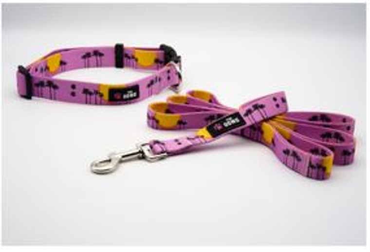 The Dowg Brand Dog Collar And Leash Set S Rose Pink