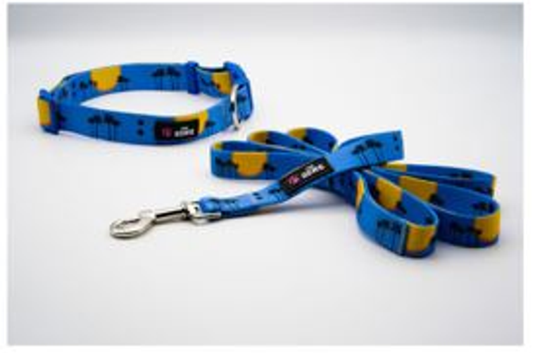 The Dowg Brand Dog Collar And Leash Set S Sky Blue