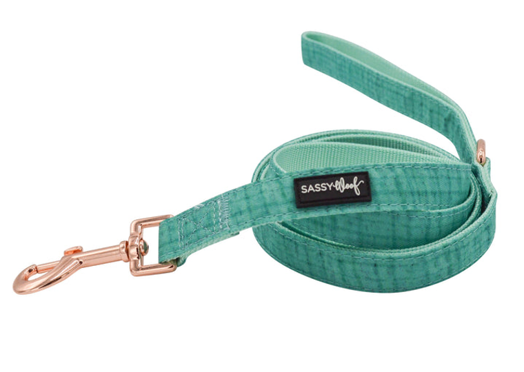 Sassy Woof LLC Leash One Size Teal Wag your Teal