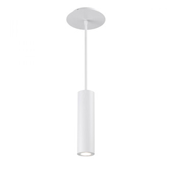 CALIBER 10IN OUTDOOR PENDANT 3000K (1357|PD-W36610-WT)