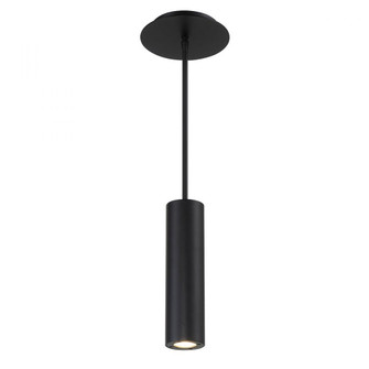 CALIBER Outdoor Pendant Light (1357|PD-W36610-BK)