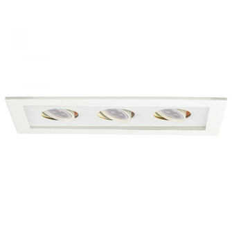 Low Voltage Multiple Two Light Trim (1357|MT-316LED-WT/WT)