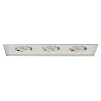 Low Voltage Multiple Invisible Two Light Trim (1357|MT-316LEDTL-WT)