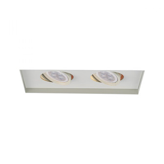 Low Voltage Multiple Invisible Two Light Trim (1357|MT-216LEDTL-WT)