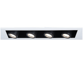 Silo Multiple - Trimless (1357|MT-4210L-927-WTBK)