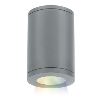 Tube Architectural 5'' LED Color Changing Flush Mount (1357|DS-CD05-N-CC-GH)