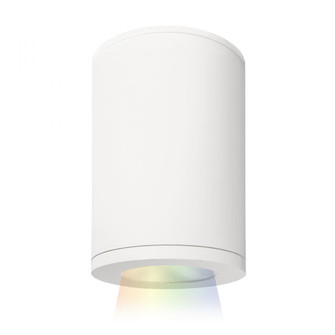 Tube Architectural 5'' LED Color Changing Flush Mount (1357|DS-CD05-F-CC-WT)