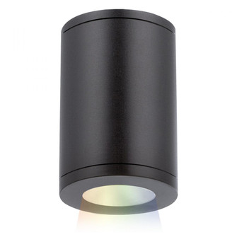 Tube Architectural 5'' LED Color Changing Flush Mount (1357|DS-CD05-F-CC-BK)