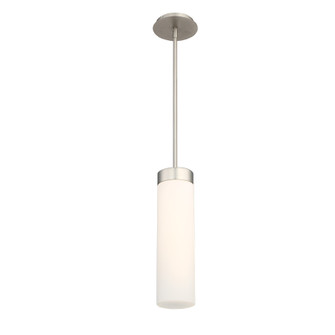 ELEMENTUM 16IN MINI PENDANT 3000K (1357|PD-26616-SN)