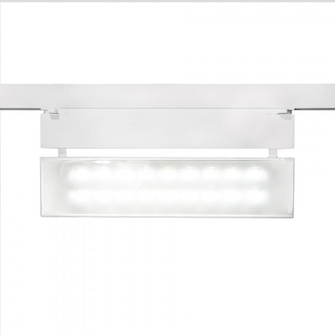 LED42 Wall Washer LED Track Head (1357|WHK-LED42W-30-WT)