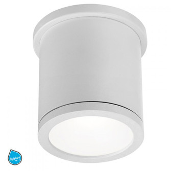 TUBE Outdoor Flush Mount Light (1357|FM-W2605-WT)