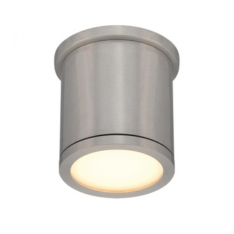 TUBE Outdoor Flush Mount Light (1357|FM-W2605-AL)
