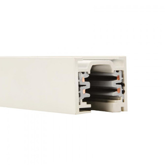 W2 120V 2-CIRCUIT TRACK(4') (1357|WT4-WT)