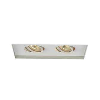 Low Voltage Multiple Invisible Two Light Trim (1357|MT-216TL-WT)