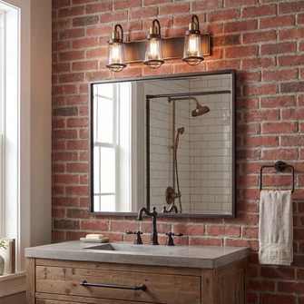 Lansing 3-Light Bathroom Vanity Light in English Bronze and Warm Brass (128|8-1780-3-79)