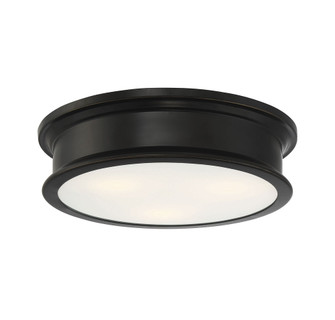 Watkins 3-Light Ceiling Light in Classice Bronze (128|6-133-16-44)