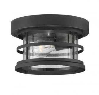 Barrett 1-Light Outdoor Ceiling Light in Black (128|5-369-10-BK)