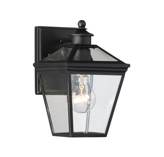 Ellijay 1-Light Outdoor Wall Lantern in Black (128|5-140-BK)