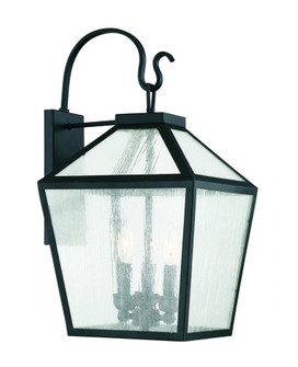Woodstock 3-Light Outdoor Wall Lantern in Black (128|5-101-BK)