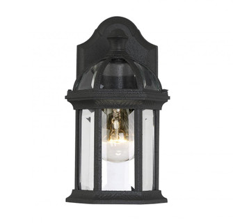 Kensington 1-Light Outdoor Wall Lantern in Textured Black (128|5-0629-BK)