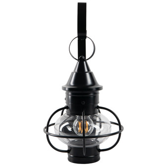 Classic Onion Outdoor Wall Light (148|1613-BL-CL)