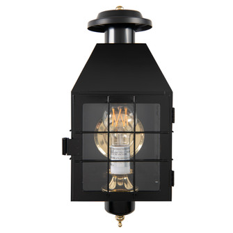 American Heritage Outdoor Wall Light (148|1059-BL-CL)