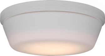 DOVER LIGHT KIT RZW (6|MC261RZW)