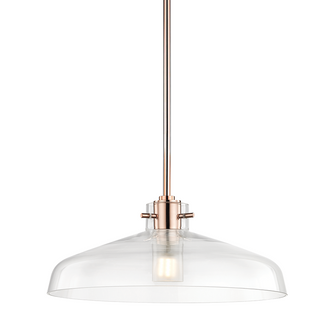 1 Light Pendant (6939|H128701A-POC)