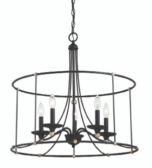 Westchester County - 5 Light - 25'' Chandelier (10|1047-677)