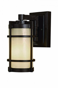 1 Light Outdoor Wall Mount (10|72022-A179)