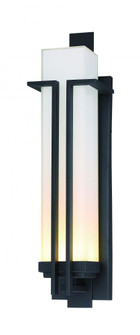OUTDOOR LED WALL MOUNT (10|72763-66-L)