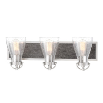 Garrison - 3 Light Bath (10|3343-098)
