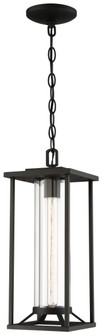 Trescott - 1 Light Chain Hung (10|72474-66)
