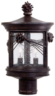 Abbey Lane™ - 2 Light Outdoor Post Lantern (10|9156-A357)