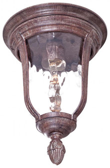 Bronze Outdoor Flush Mount (10|8999-61B)