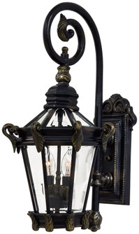 Stratford Hall™ - 2 Light Outdoor Wall Mount (10|8931-95)