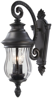 Newport™ - 2 Light Outdoor Wall Mount (10|8907-94)