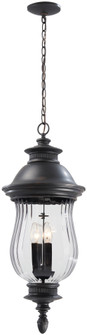 Newport™ - 4 Light Outdoor Chain Hung (10|8904-94)