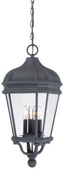 Harrison™ - 4 Light Outdoor Chain Hung (10|8694-66)
