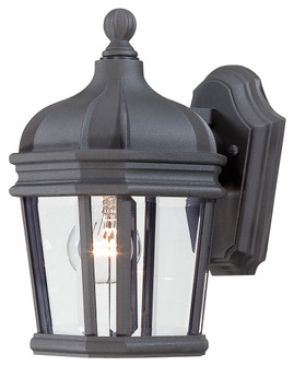 Harrison™ - 1 Light Outdoor Wall Mount (10|8690-61)