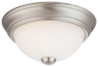 2 LIGHT FLUSH MOUNT (10|4960-84)