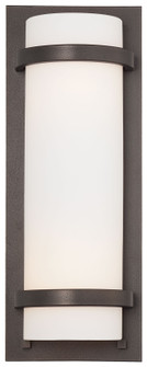 Fieldale Lodge - 2 Light Wall Sconce (10|341-172)