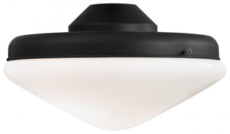Universal 10 1/2'' LED Light Kit (39|K9401L-TCL)